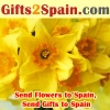 Profuse gift offerings to garnish your day